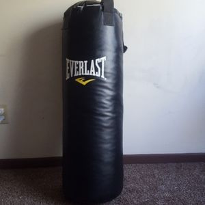 Everlast punching bag